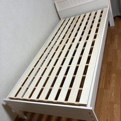 引き取り先見つかりました。