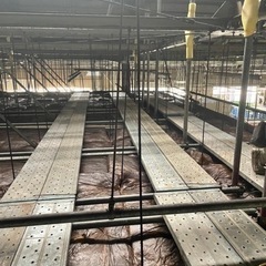 建設業！鳶工！足場鳶！鉄骨鳶！重量鳶！　大阪府！寝屋川市！　寮、社宅完備！日払いOK！未経験者歓迎！の画像