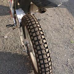 ベータRev.３    トライアルバイクの画像