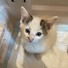 ゴロゴロ甘えん坊さん