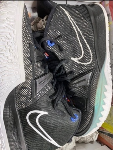 カイリー7/バッシュ