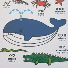 こどもずかん(英語つき)の画像