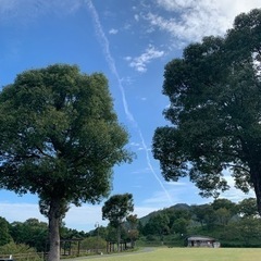 遊ぼー♪