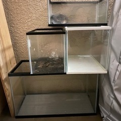 水槽6個まとめてお譲りします