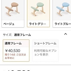 ● バランスイージー、バランスチェアー、カバー付きの画像