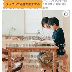 ● バランスイージー、バランスチェアー、カバー付きの画像