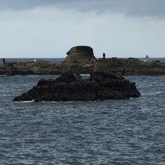 伊豆半島磯釣り