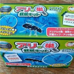 お譲りします / 蟻（バラ売り可） cc5651cbe298e5492e940b9acb4901