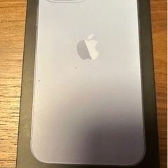 Apple iPhone 13 Pro Max 1TB SIMフリー水色 シエラブルー