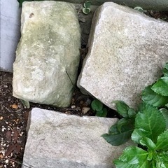 【無料】庭石　引き取り限定の画像