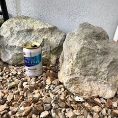 【無料】庭石　引き取り限定の画像