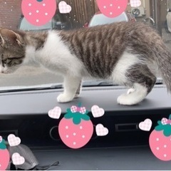 仲良しさんです！