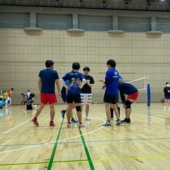 雄のコアラ（男子6人制）
