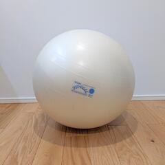 ギムニク バランスボール55cm