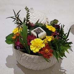 10月9日（日）恵比寿「ロブション」ランチ　一緒に行きませんか？