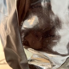 GUESSゲス リュック【今週末限定】の画像