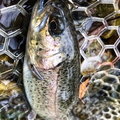 20代釣りトモ🎣・キャンプトモ🍳 - 友達