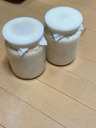 HOPEI オオクワガタ北峰産　王翦ＧＸ血統　幼虫４頭　a  （８００cc菌糸瓶入）