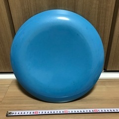 【成約済】バランスクッション　バランスディスク　の画像