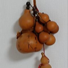 ひょうたん　の画像