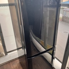 146リットル　2ドア三菱冷蔵庫　MR-P15Z-B 