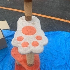 キャットタワーの画像