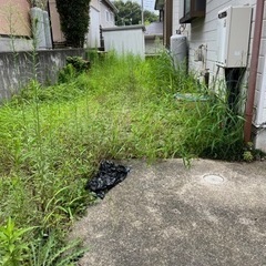 お暇時間を有効に⭐︎除草、草むしりなど簡単な作業⭐︎再投稿の画像