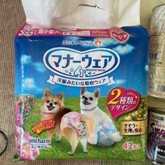 小型犬老犬介護用品一式の画像