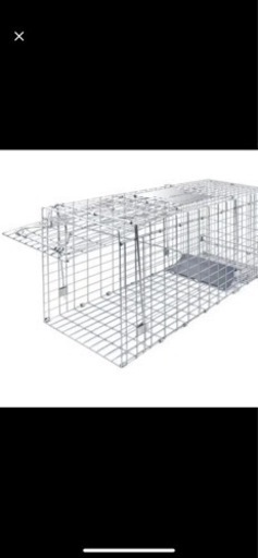 動物捕獲器