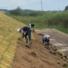 10/11～角館の玉川河川沿い野芝張り作業員募集‼️