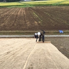 10/11～角館の玉川河川沿い野芝張り作業員募集‼️の画像
