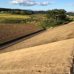 10/17〜北秋田市合川の野芝張り作業員募集‼️の画像
