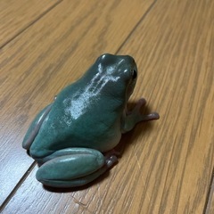 イエアメガエル4匹の画像