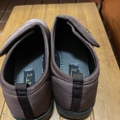 軽量介護シューズ　足の友の画像