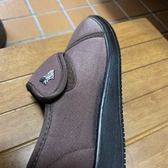 軽量介護シューズ　足の友の画像