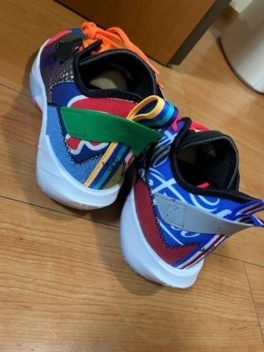 NIKE JORDAN WHY NOT ZERO.4 "UPBRINGING"28.5㎝