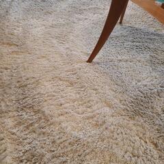 コストコ　白、カーペットの画像