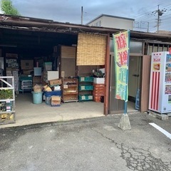 激安野菜1袋 😃50円コーナー100円コーナー