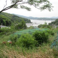 515度会郡南伊勢町五ケ所浦200万円　五ケ所湾一望です。引き渡しに時間が掛かります。NEW - 不動産