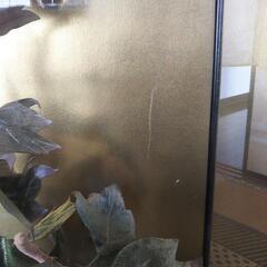 ぼたん造花ケース入り値下げの画像