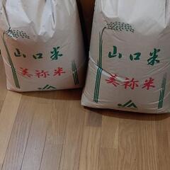 令和３年度　お米　晴るる