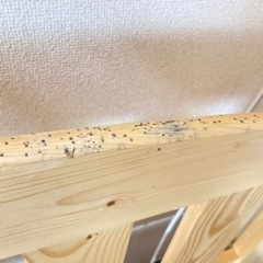 2段ベッド　【決定致しました】の画像