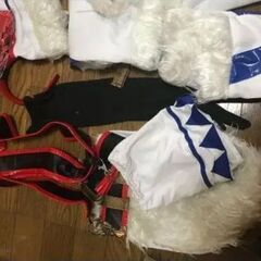 【モンスターハンター】キリン装備衣装の画像