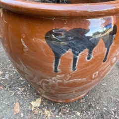壺　　中　水溜まりますの画像
