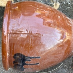 壺　　中　水溜まりますの画像