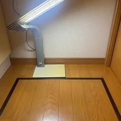 【購入者様決定】デスク　ライト　蛍光灯スタンドの画像