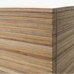 針葉樹合板（海外輸入）