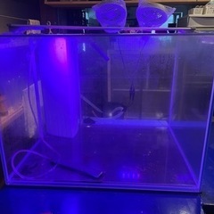 20万で購入しました！特価！  水槽 フルセット 濾過システム装置付き