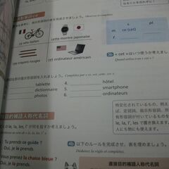 マエストロ 1 実践フランス語初級 ヴァンサン・デュランベルジェ,北村亜矢子の画像