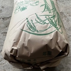 [新米]令和4年産つや姫　玄米30kg
